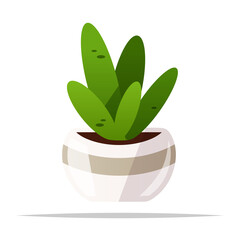 Potted succulent plant vector isolated illustration