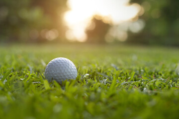 golf ball is on a green lawn in a beautiful golf course