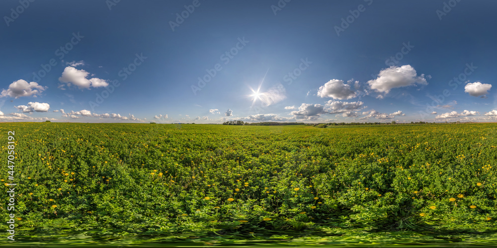 Wall mural full seamless spherical hdri panorama 360 degrees angle view on among green farming fields in summer