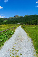 The woods, nature and the peace of the mountains of the Alpe Veglia - Devero natural park: a place suitable for the whole family near the town of Baceno, Italy - July 2021.