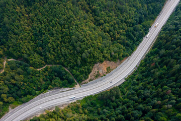 a road and vehicles in the black sea forests, Mengen, Turkey