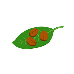 Coffee beans and leaves in a flat style. Isolated over white background.
