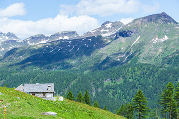 Fototapeta na wymiar The woods, nature and the peace of the mountains of the Alpe Veglia - Devero natural park: a place suitable for the whole family near the town of Baceno, Italy - July 2021.