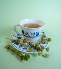 Obraz na płótnie Canvas mountain green tea medicine herbal