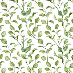 Square seamless pattern with green botany. Watercolor hand painted background. Green leaves clip art on white background. Seamless vine branch