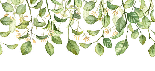 Long seamless banner with hanging leaves isolated on white background. Watercolor detailed realistic green leaves and flowers on blooming Linden tree