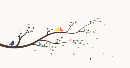 Bird in love. Birds on tree branch