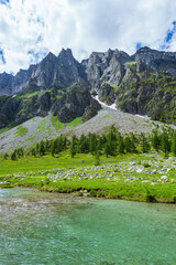 Naklejka na ściany i meble The woods, nature and the peace of the mountains of the Alpe Veglia - Devero natural park: a place suitable for the whole family near the town of Baceno, Italy - July 2021.