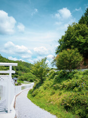 夏の晴れた日の白い鳥居