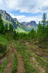 Obraz premium The woods, nature and the peace of the mountains of the Alpe Veglia - Devero natural park: a place suitable for the whole family near the town of Baceno, Italy - July 2021.