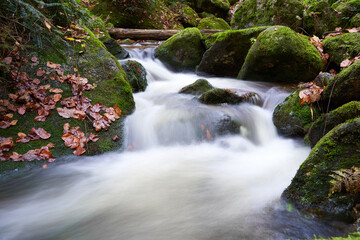 Long exposure in the forest. Green mossy stones near the water. Black forest in germany. Gertelbach...