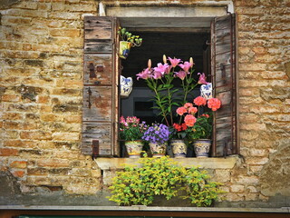 window with flowers