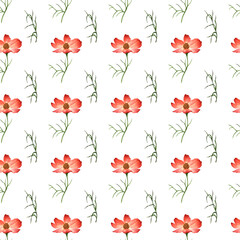 Pattern from the collection of cosmos flowers on a white background. beautiful flowers. Watercolor illustrations. hand drawing.