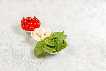 Obraz na płótnie Canvas Delicious Italian Caprese salad with sliced red and orange cherry tomatoes.