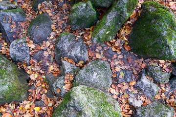 Top view from forest floor in the autumn. Brown leaves and mossy stones. Pattern for backgrounds.