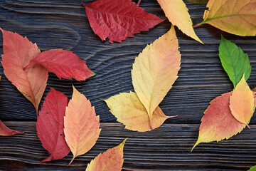 Wooden background with Autumn leaves. Border design. Top view. Concept floral background.