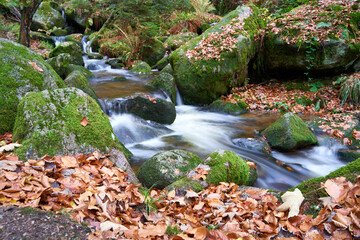 Long exposure from a creek in the woods. Surrounded with big mossy rocks. Autumn leaves in the...