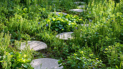 Path with round stones in green nature environment in summer in Germany. Tranquil stone trail  for meditation in ornamental garden