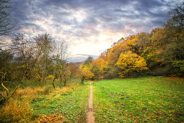 Autumn landscape with a nature trail
