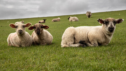 Guck mal der fotografiert uns.