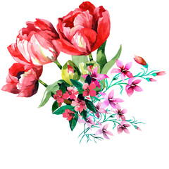 Red tulips and wildflowers bouquet watercolor isolated on white background illustration for all prints.