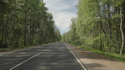 driving plate through forest in sunny summer day