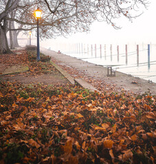 Port of Balatonfoldvar, Hungary in autumn