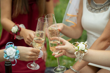 The girls are knocking glasses of wine.