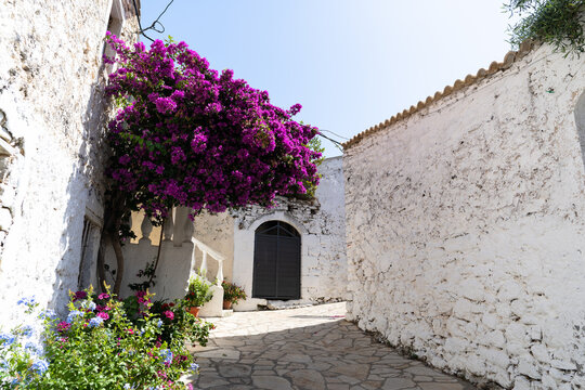Street in Afionas Garden Village