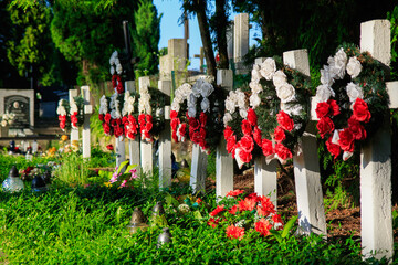 Biłgoraj - cmentarz wojenny - obrazy, fototapety, plakaty