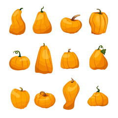 A large set of pumpkins in a cartoon style. Vector element for Halloween, Thanksgiving, Harvest.