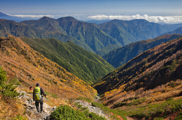 Fototapeta na wymiar mt.warusawa, mt.akaishi, in autumn, trekking 秋の悪沢岳、赤石岳トレッキング