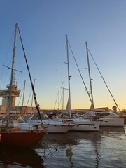 yachts in marina