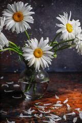 Beautiful and moody chamomile flowers composition.