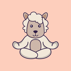 Cute sheep is meditating or doing yoga.