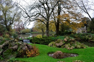 Beautiful and peaceful Lake view. 