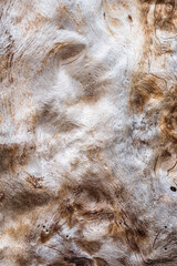 patterns of old wood