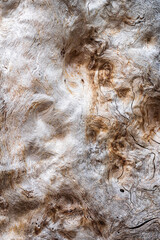 patterns of old wood