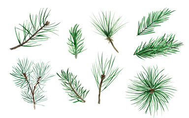 Naklejka na ściany i meble Coniferous tree branches watercolor elements set. Template for decorating designs and illustrations.