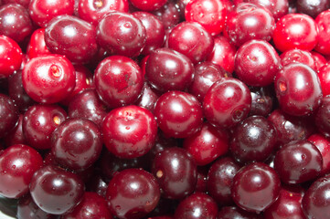 Ripe cherry berry close - up in bulk. Fruit texture for wallpaper.