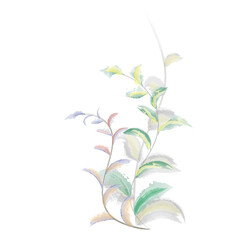 watercolor Illustration of leaf pattern