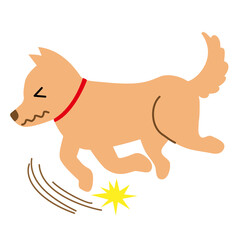 犬　健康　病気　つまずく　すべる　イラスト素材
