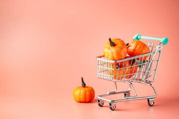 Seasonal mini pumpkins vegetable in shopping cart on pink background. Autumn harvest festival. Thanksgiving day background
