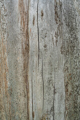 patterns and texture of old wood