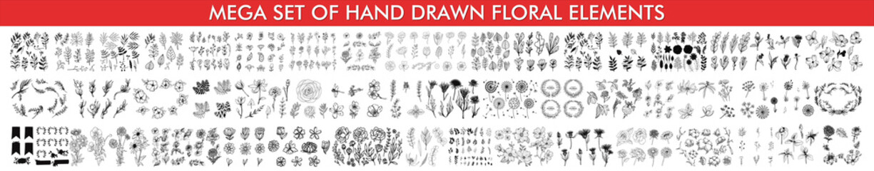 Set of floral branch. Flower rose, leaves. Wedding concept. Collection of hand drawn vintage design elements. Collection of hand drawn doodle design elements isolated on white background. 