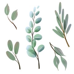 Set of watercolor green leaves  isolated on white background for design decorative or invitation wedding card , illustration botanical 