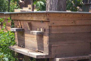 Bee hive with flying bees in the apiary in the garden. Close-up