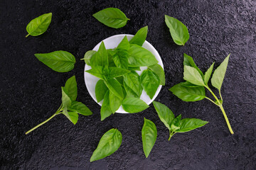 Fresh green basil on a black background.
Flat lei.