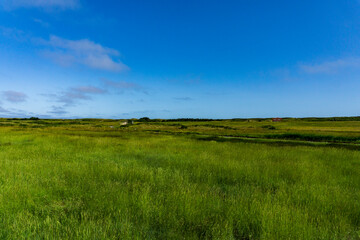 Fototapeta premium Wangerooge