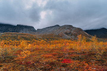 Autumn colorful tundra on the background mountain peaks in cloudy weather.  Mountain landscape in Kola Peninsula, Arctic, Khibiny Mountains.